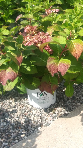 Garden Center «English Gardens», reviews and photos, 44850 Garfield Rd, Charter Twp of Clinton, MI 48038, USA