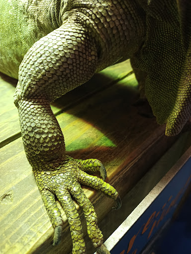 Shopping Mall «Layton Hills Mall», reviews and photos, 1201 N Hill Field Rd, Layton, UT 84041, USA