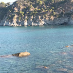 Photo n°9 de l'avis de veronika.a fait le 08/10/2023 à 13:35 sur le  Hotel Terme Tritone Resort & Spa à Forio