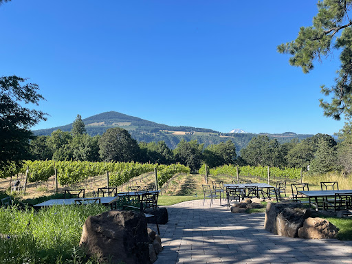 Winery «Cathedral Ridge Winery», reviews and photos, 974 OR-99W, Dundee, OR 97115, USA