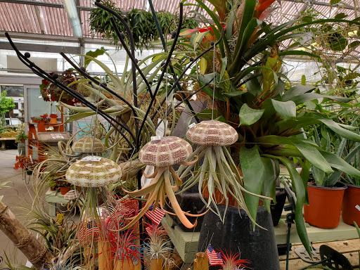 Hardware Store «Hagan Ace Hardware», reviews and photos, 12501 San Jose Blvd, Jacksonville, FL 32223, USA