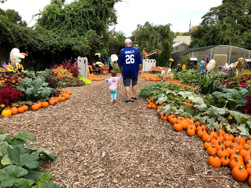 Florist «Blossom Time Florists», reviews and photos, 1868 Victory Blvd, Staten Island, NY 10314, USA