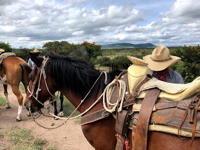 Operadora Turistica Rancho Xotolar - Horseback Riding