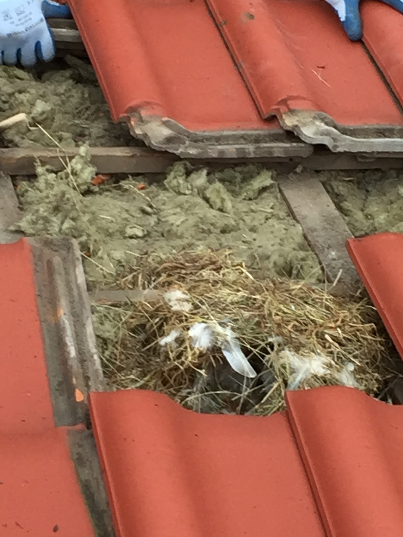 Photo n° 17 de l'avis de françoise.a fait le 21/03/2018 à 11:10