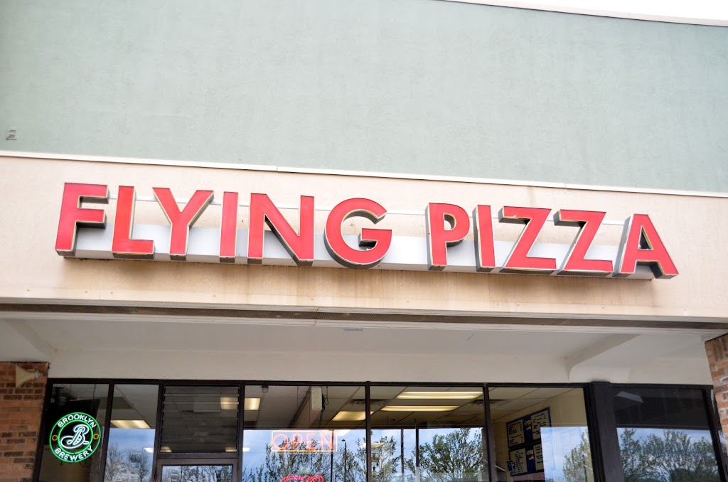 Flying Pizza 45459