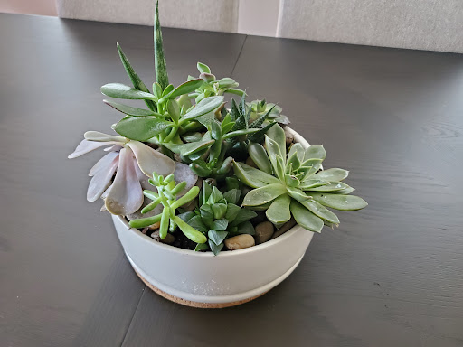 Florist «Amaranth Florist», reviews and photos, 109 N Essex Ave, Narberth, PA 19072, USA