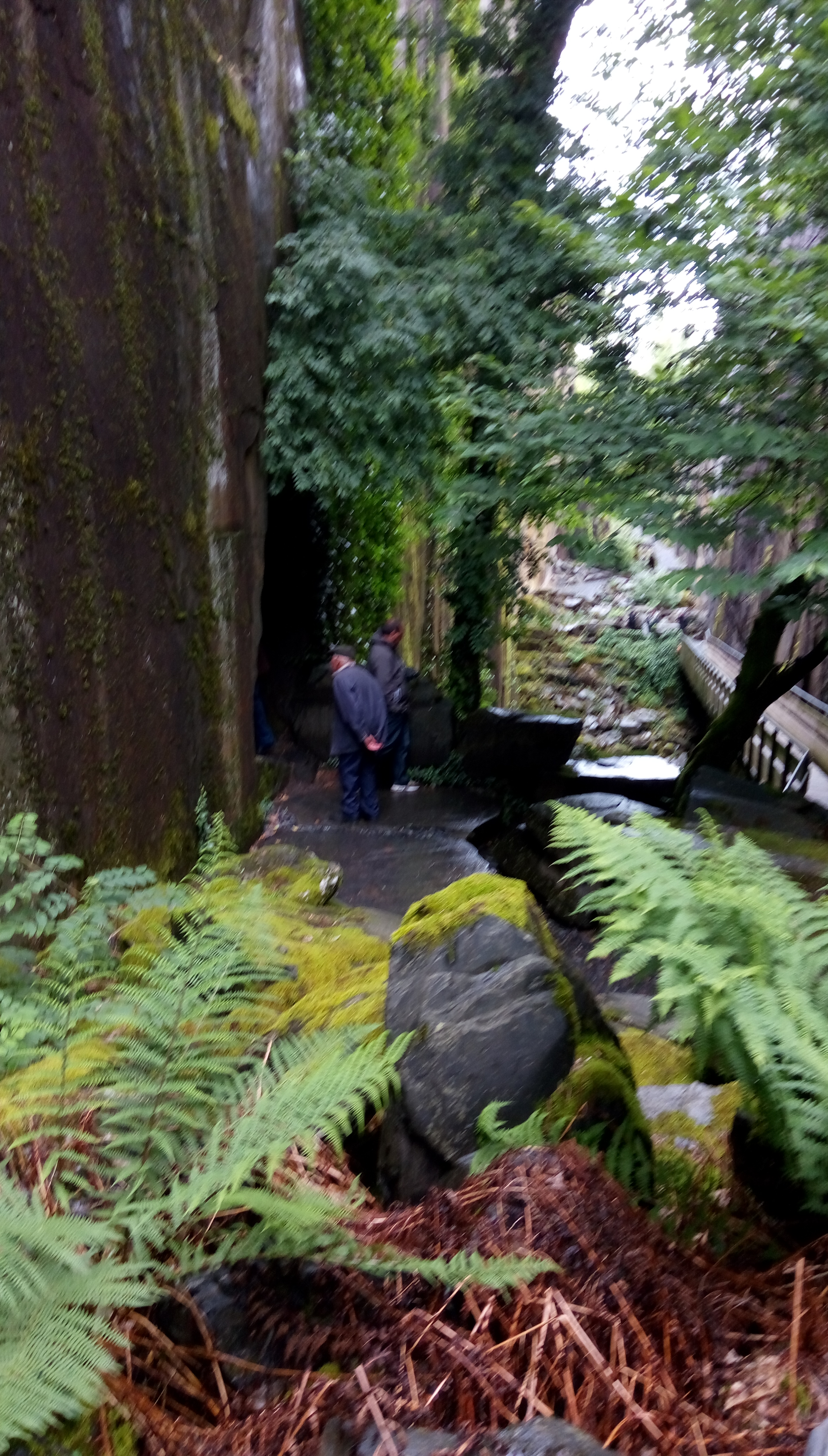 Photo n° 7 de l'avis de véronique.u fait le 13/06/2019 à 11:34