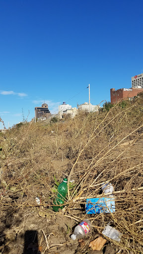 Tourist Attraction «Beale Street Landing», reviews and photos, 251 Riverside Dr, Memphis, TN 38103, USA