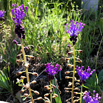 Photo n°6 de l'avis de Elena.i fait le 21/05/2020 à 17:05 sur le  La Montanara à Ramiseto