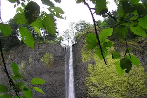 Waterfall Trolley image