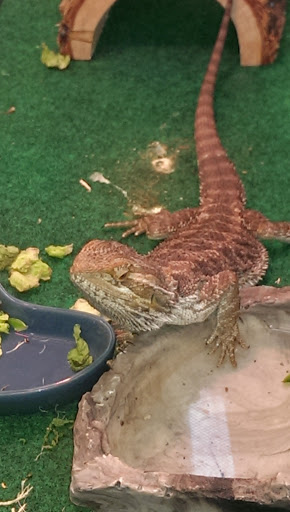 Pet Supply Store «Pet Supplies Plus», reviews and photos, 4110 Hunt Rd, Blue Ash, OH 45236, USA