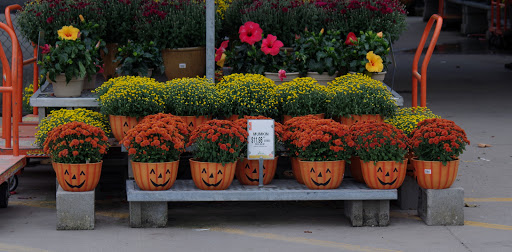 Home Improvement Store «The Home Depot», reviews and photos, 909 Washington St, Middletown, CT 06457, USA