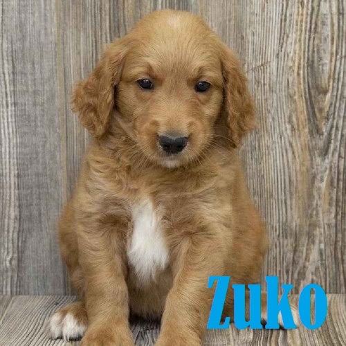 Pet Store «Pet Express», reviews and photos, 250 Granite St, Braintree, MA 02184, USA