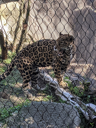 Gulf Coast at Fort Worth Zoo image 6