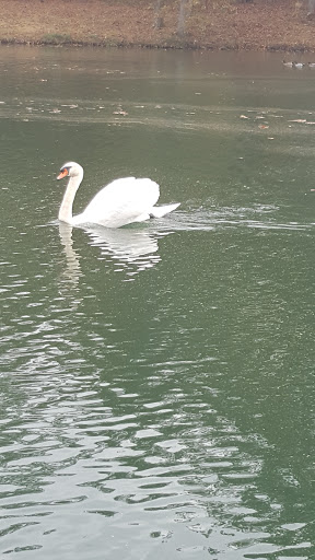 Winery «Copper Dock Winery», reviews and photos, 498 700 N, Pocahontas, IL 62275, USA