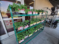 Tractor Supply Co. - Photo 4 - Car repair in Hemet, CA, Hemet