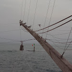 Photo n°2 de l'avis de Susanna.e fait le 26/07/2021 à 12:51 sur le  Trabocco Punta Rocciosa à Fossacesia