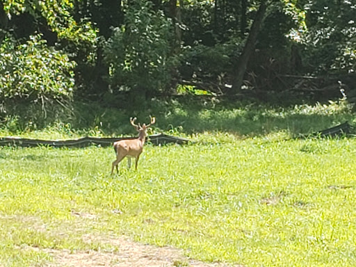 Park «Beech Woods Park», reviews and photos, 137 Beekman Rd, Kendall Park, NJ 08824, USA