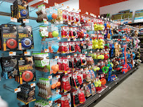 Petco - Photo 8 - Car repair in Hingham, MA, Boston