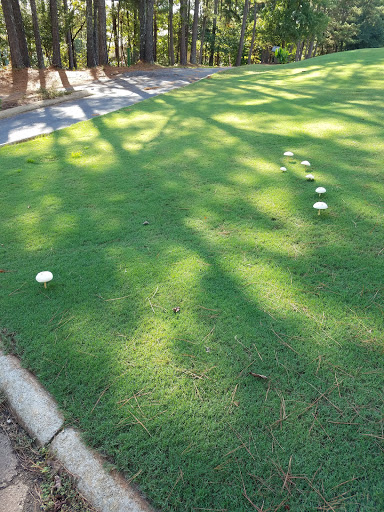 Golf Course «Georgia National Country Club», reviews and photos, 1715 Lake Dow Rd, McDonough, GA 30252, USA