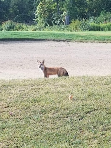 Country Club «Atkinson Resort & Country Club», reviews and photos, 85 Country Club Dr, Atkinson, NH 03811, USA