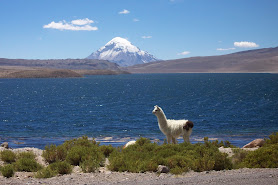 TERRATOUR ARICA