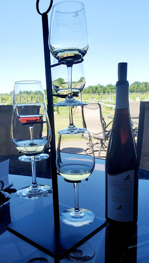 Winery «Dancing Dragonfly Winery», reviews and photos, 2013 120th Ave, St Croix Falls, WI 54024, USA