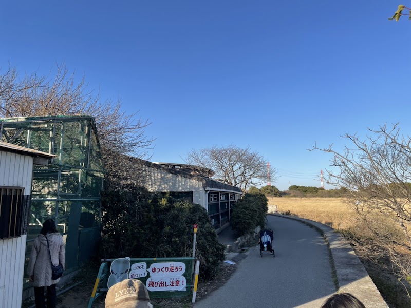 野鳥病院