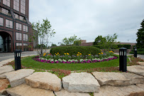 Cornerstone Partners Horticultural Services Company - Photo 7 - Car repair in Elgin, IL, Elgin