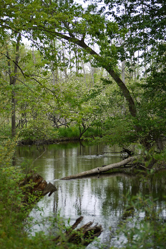 Nature Preserve «Leonard Preserve», reviews and photos, N Union St, Manchester, MI 48158, USA