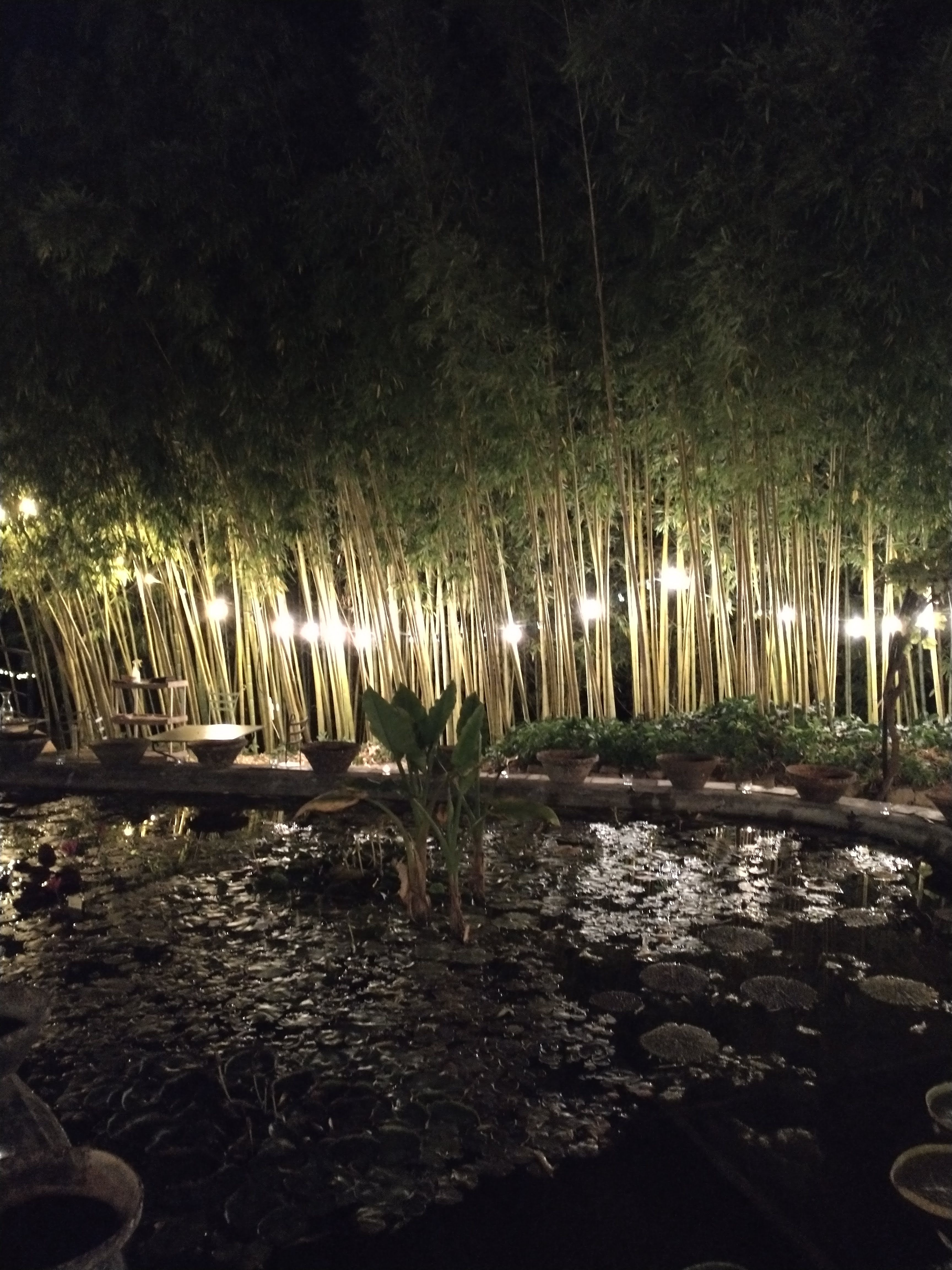 Photo n° 1 de l'avis de iga.e fait le 31/07/2023 à 18:00