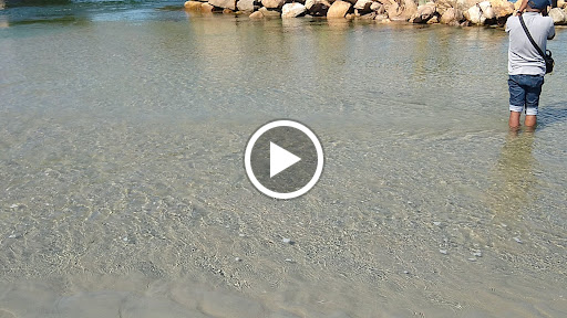 Park «Good Harbor Beach», reviews and photos, 99 Thatcher Rd, Gloucester, MA 01930, USA