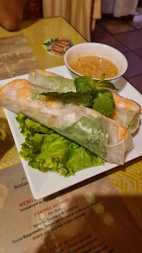 Rouleau de printemps du Restaurant vietnamien Restaurant Hong Kong à Bordeaux - n°7