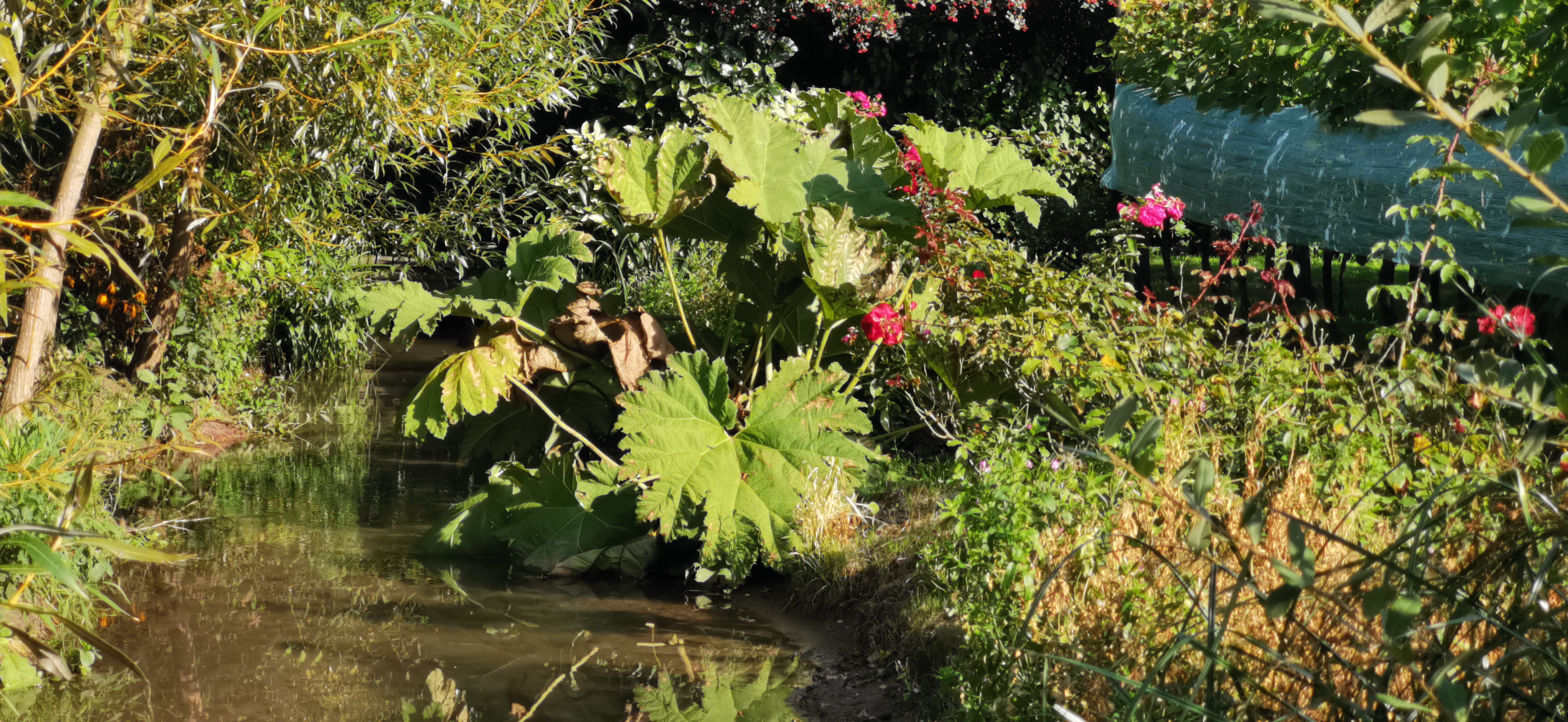 Photo n° 11 de l'avis de Olivier.i fait le 21/09/2021 à 14:07
