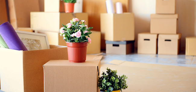 Reviews of Rylands Removals in Manchester - Moving company