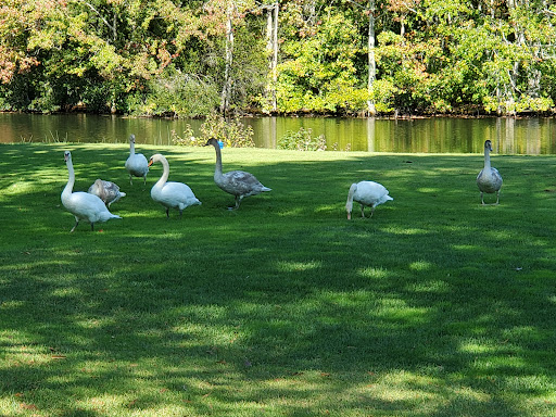 Golf Club «Avalon Golf Club», reviews and photos, 1510 U.S. 9, Cape May Court House, NJ 08210, USA