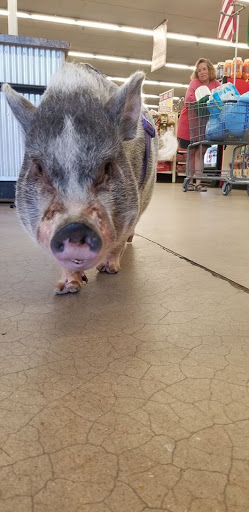 Hardware Store «Buchheit of House Springs», reviews and photos, 4550 Gravois Rd, House Springs, MO 63051, USA