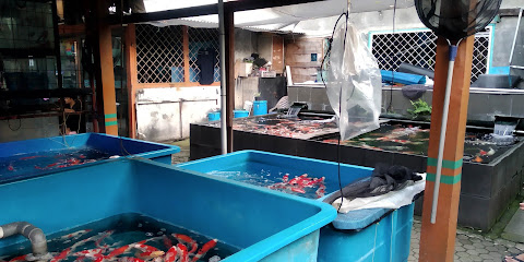 Pasar Ikan Hias Sumenep Jakpus