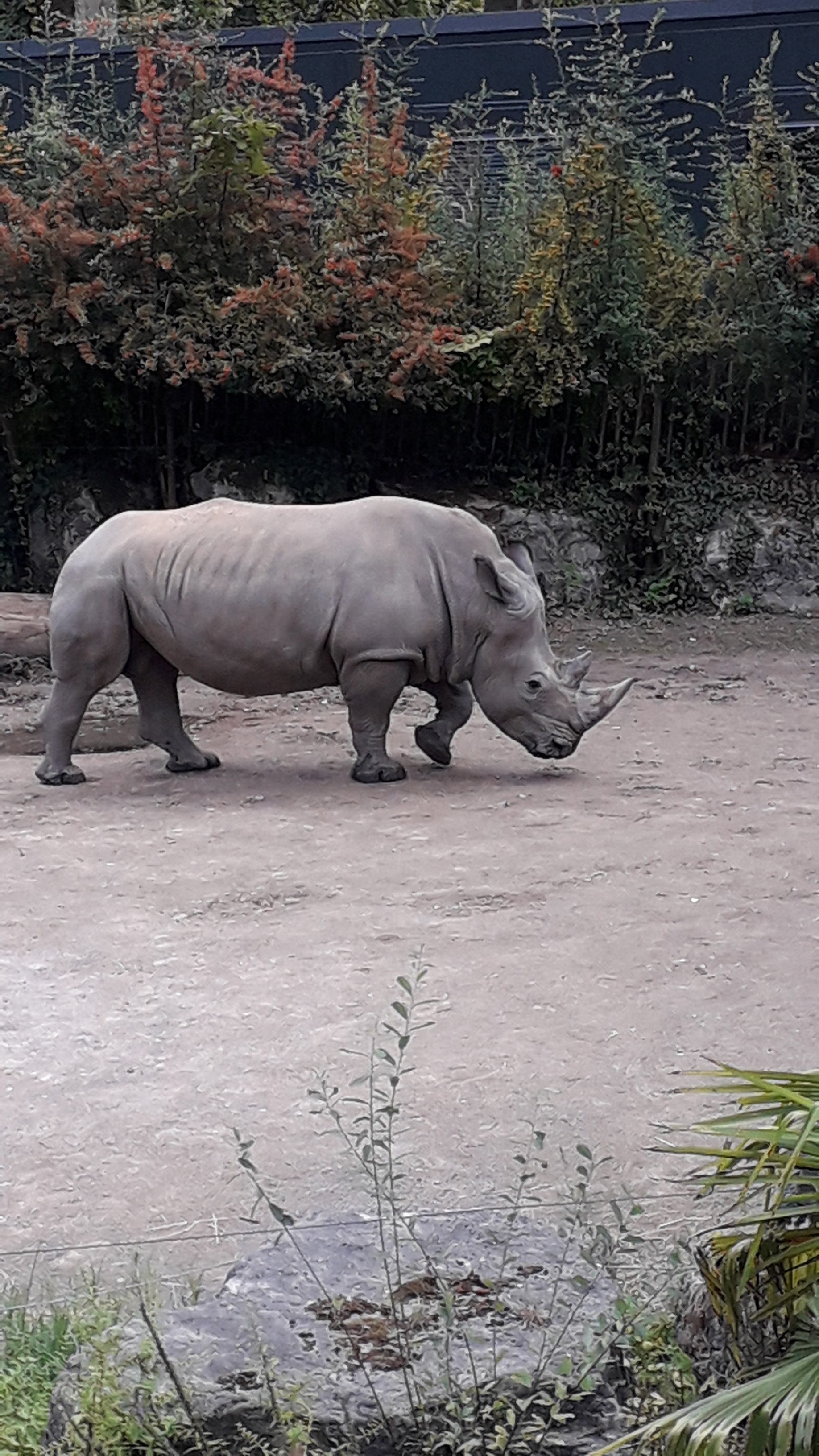 Photo n° 11 de l'avis de Catherine.C fait le 27/08/2020 à 11:42