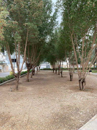 حديقة حي الملك فهد في الرياض 1