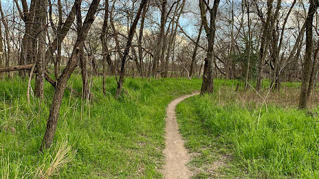 Tree Services in Mesquite