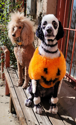 Doggie Stylz by Kathleen