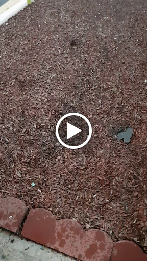 Wine Store «Ohioville Liquor Store», reviews and photos, 501 Main St, New Paltz, NY 12561, USA