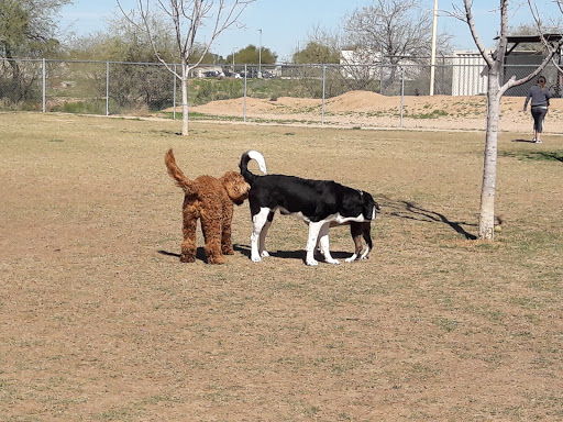 Park «Paradise Valley Park», reviews and photos, 17642 N 40th St, Phoenix, AZ 85032, USA