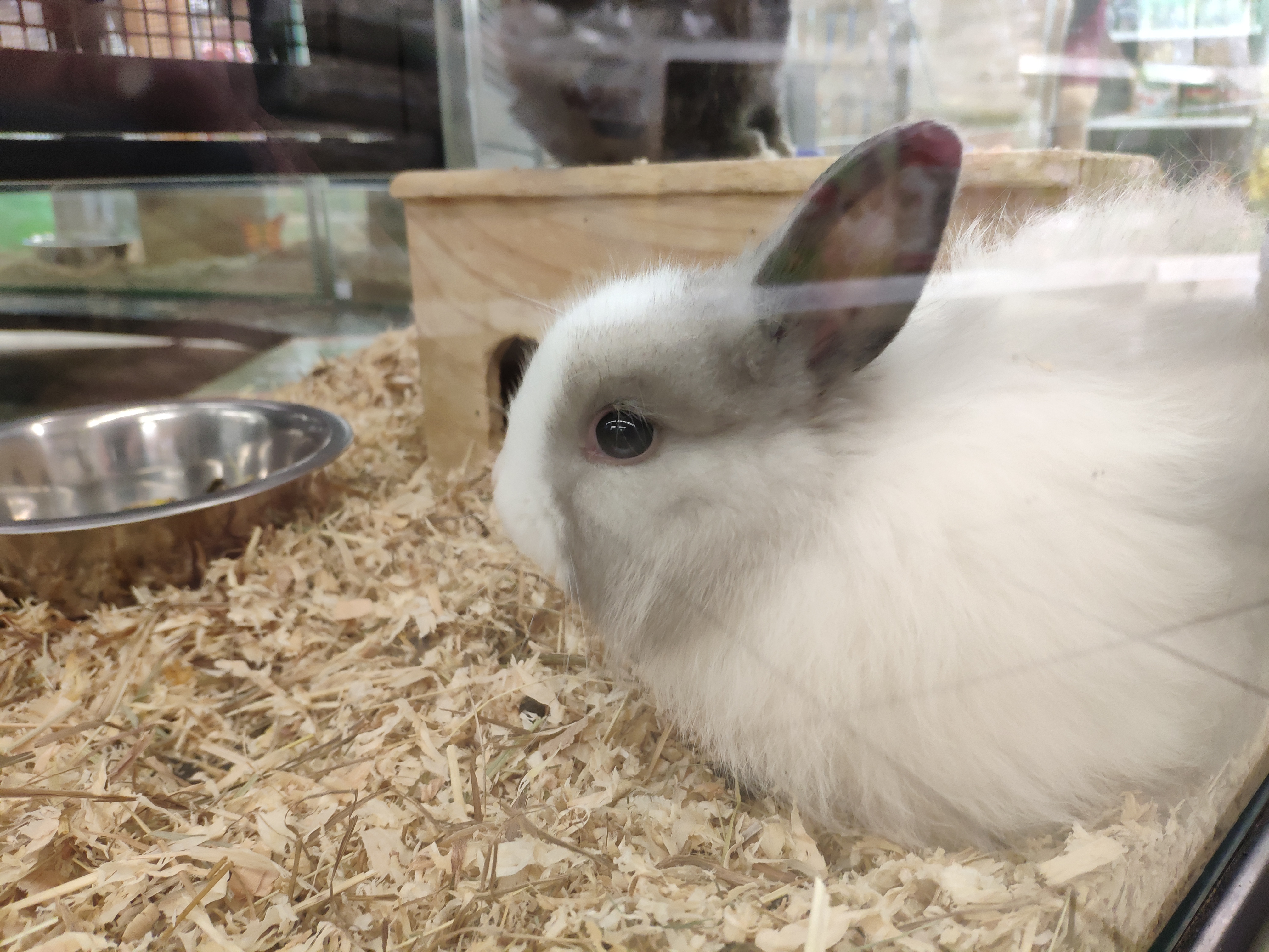 Photo n° 3 de l'avis de Jerome.a fait le 23/04/2019 à 07:39