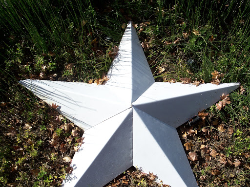 Tourist Attraction «Leonhardt Lagoon Nature Walk», reviews and photos, 1121 1st Ave, Dallas, TX 75210, USA