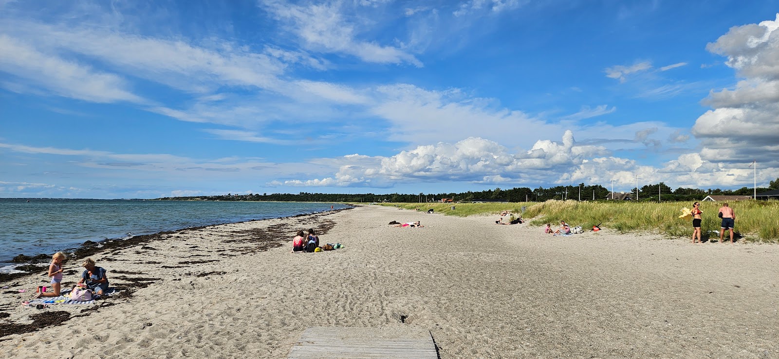 Foto di Stillnge Beach con una superficie del sabbia beige