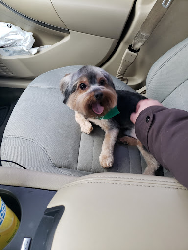 Pet Store «Cross Bronx Pet Shop», reviews and photos, 2064 Cross Bronx Expy, Bronx, NY 10472, USA