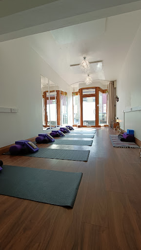 Dragonfly Yoga Ireland