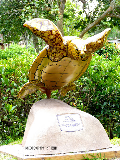 Zoo «Naples Zoo at Caribbean Gardens», reviews and photos, 1590 Goodlette-Frank Rd, Naples, FL 34102, USA